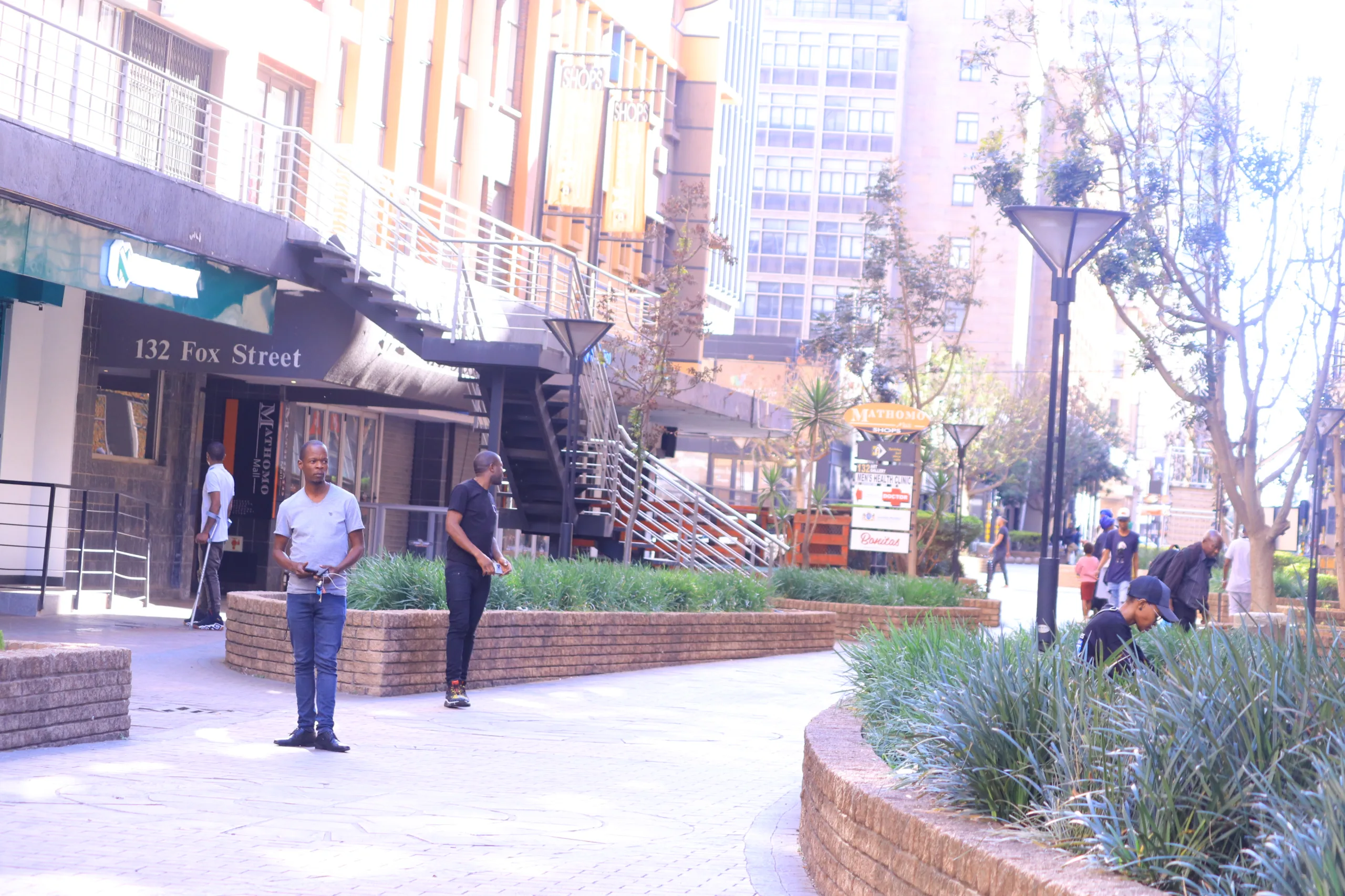 Erectile Dysfunction Remedies