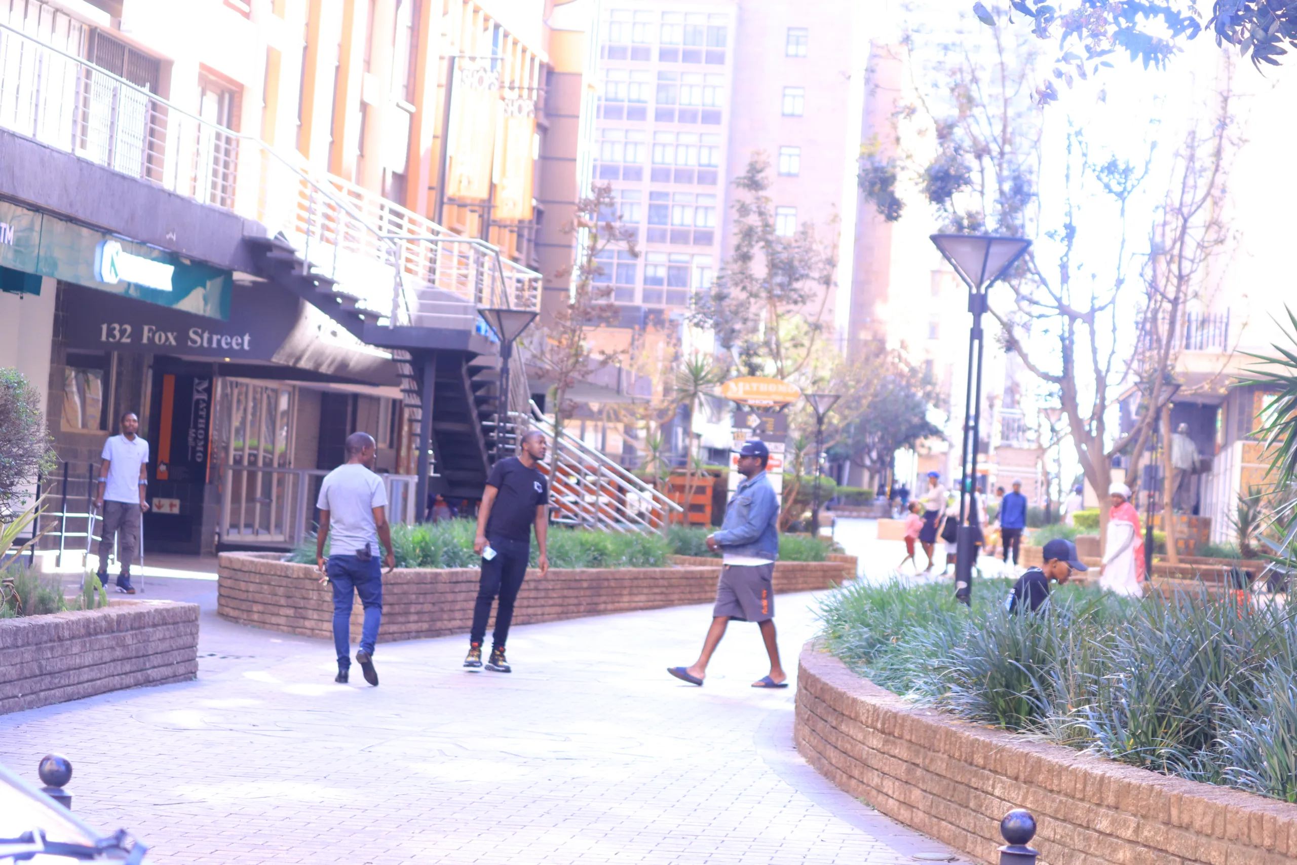 Animale male enhancement